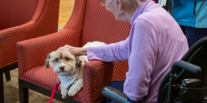 Request a Therapy Dog Visit_St John Ambulance