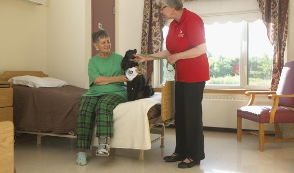 Older woman in nursing home with therapy dog and handler
