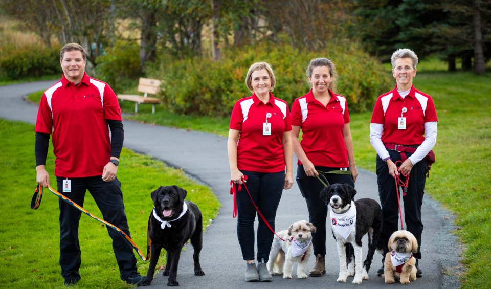 Therapy Dog Team - Banner