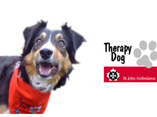 Therapy Dog AB