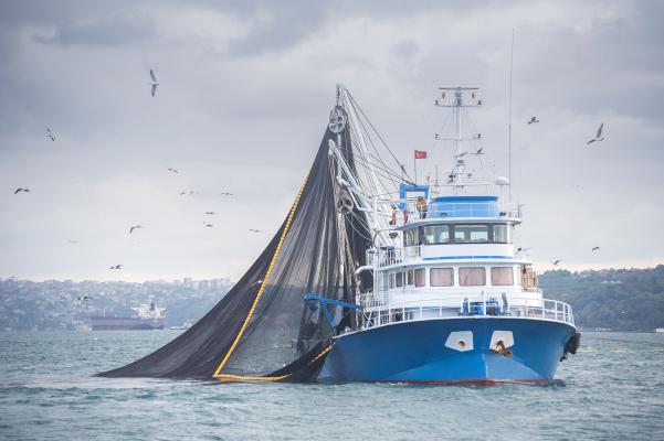 Blue fishing boat in water.