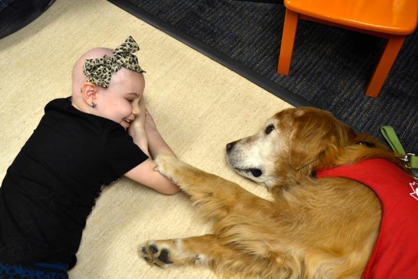 Little girl recovering from Cancer, playing with a therapy dog