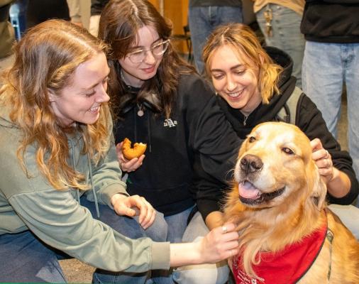 Image Request our Therapy Dog services