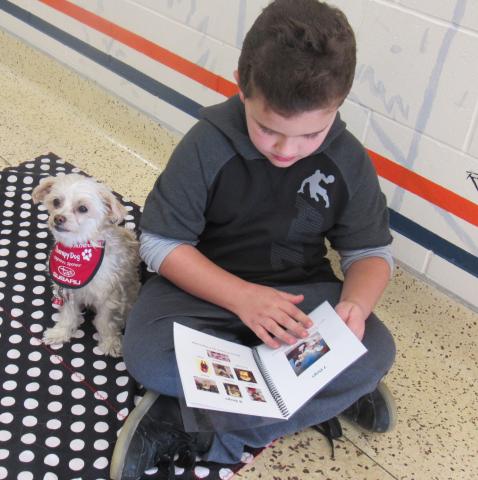 Little therapy Dog listening to little boy read story.