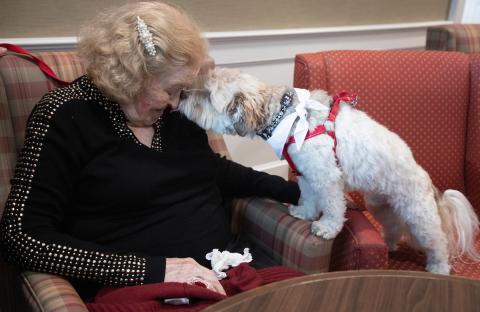 Therapy Dog face to face with senior