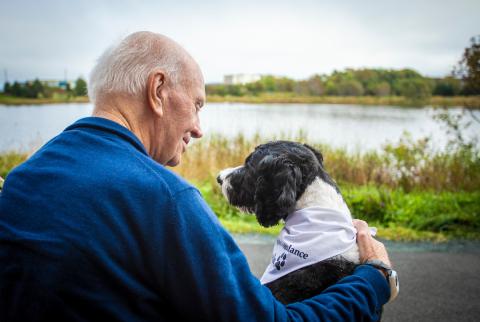 Senior and Therapy Dog on a park bench